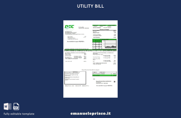 modello di bolletta delle utenze USA Delaware Electric Co op in stile verificato